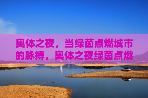 奥体之夜,当绿茵点燃城市的脉搏,奥体之夜绿茵点燃城市脉搏