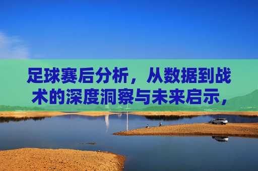 足球赛后分析，从数据到战术的深度洞察与未来启示，足球赛后分析，数据战术的深度洞察与未来启示