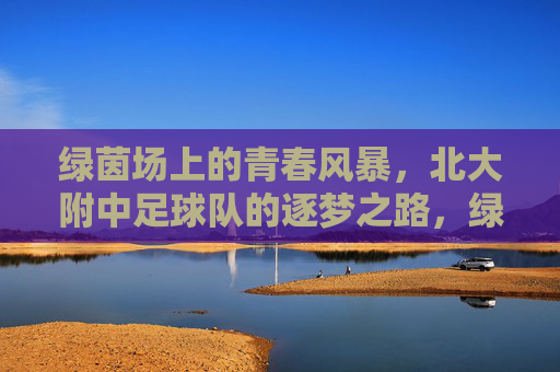 绿茵场上的青春风暴，北大附中足球队的逐梦之路，绿茵逐梦风暴，北大附中足球队的青春之路