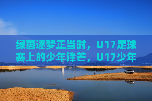 绿茵逐梦正当时，U17足球赛上的少年锋芒，U17少年锋芒绽绿茵，逐梦正当时