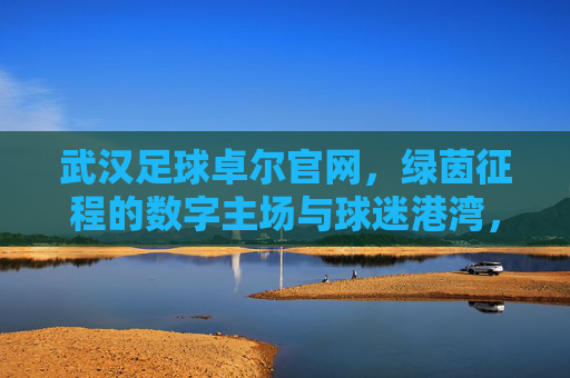 武汉足球卓尔官网，绿茵征程的数字主场与球迷港湾，武汉足球卓尔官网，绿茵征程的数字主场与球迷港湾