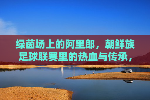 绿茵场上的阿里郎,朝鲜族足球联赛里的热血与传承,绿茵阿里郎,朝鲜族足球联赛的热血传承