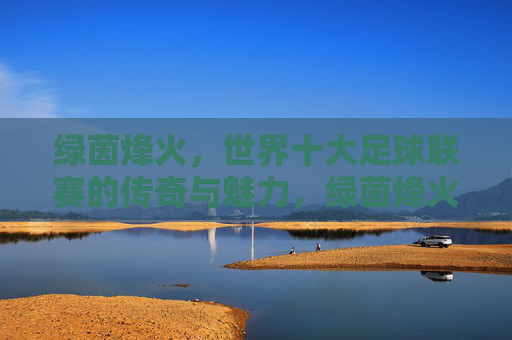 绿茵烽火,世界十大足球联赛的传奇与魅力,绿茵烽火,世界十大足球联赛的传奇与魅力