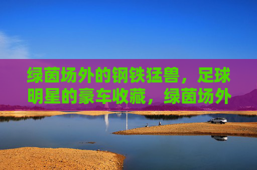 绿茵场外的钢铁猛兽，足球明星的豪车收藏，绿茵场外钢铁猛兽，足球明星豪车收藏