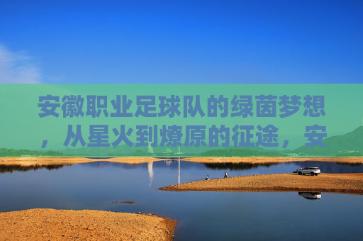 安徽职业足球队的绿茵梦想,从星火到燎原的征途,安徽足球,从星火到燎原的绿茵征途