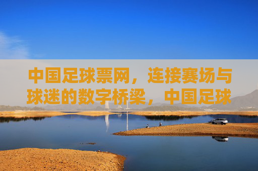 中国足球票网，连接赛场与球迷的数字桥梁，中国足球票网，赛场与球迷的数字桥梁