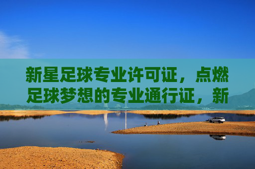 新星足球专业许可证,点燃足球梦想的专业通行证,新星足球专业许可证,点燃足球梦想的专业通行证