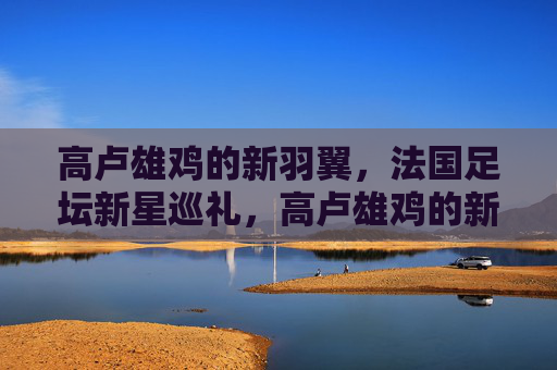 高卢雄鸡的新羽翼，法国足坛新星巡礼，高卢雄鸡的新羽翼