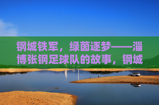 钢城铁军，绿茵逐梦——淄博张钢足球队的故事，钢城铁军，绿茵逐梦——淄博张钢足球队