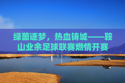 绿茵逐梦,热血铸城——鞍山业余足球联赛燃情开赛