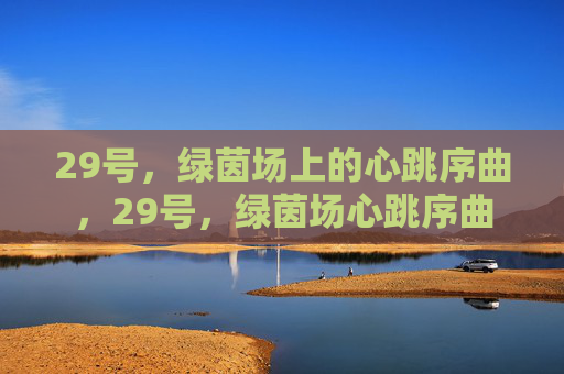 29号,绿茵场上的心跳序曲,29号,绿茵场心跳序曲