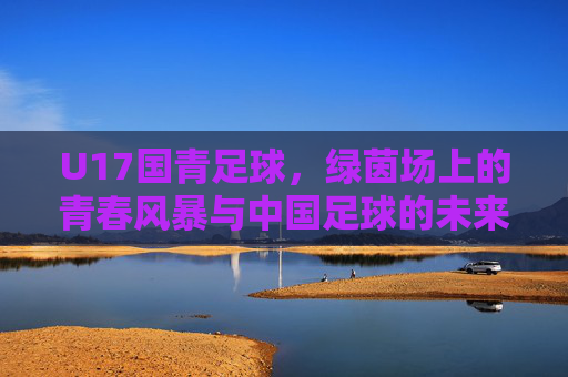 U17国青足球，绿茵场上的青春风暴与中国足球的未来密码，U17国青，绿茵青春风暴与中国足球未来密码
