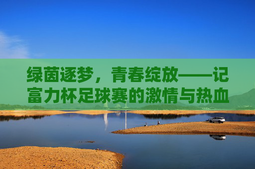 绿茵逐梦，青春绽放——记富力杯足球赛的激情与热血，绿茵逐梦，青春热血——富力杯足球赛激情绽放