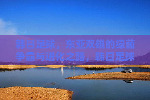 韩日足球,东亚双雄的绿茵争霸与进化之路,韩日足球,东亚双雄的绿茵争霸进化之路
