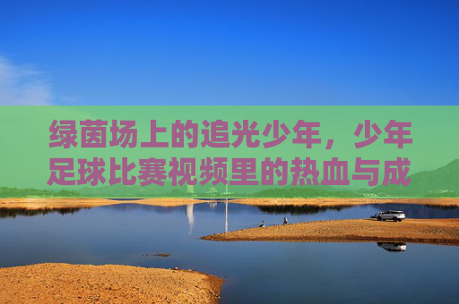 绿茵场上的追光少年,少年足球比赛视频里的热血与成长,绿茵追光,少年足球的热血成长