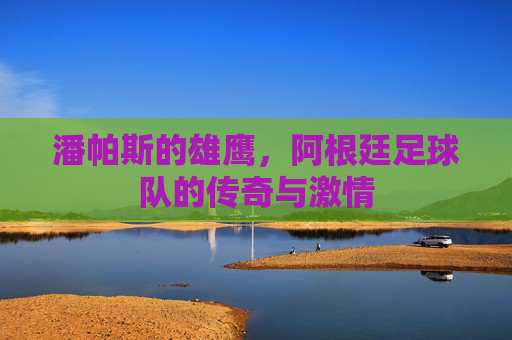 潘帕斯的雄鹰,阿根廷足球队的传奇与激情
