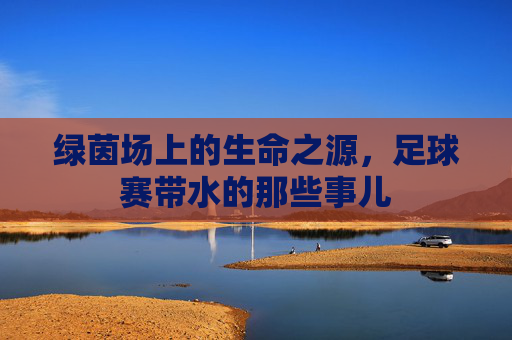 绿茵场上的生命之源,足球赛带水的那些事儿