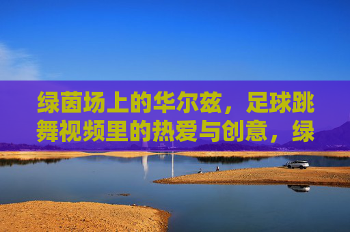 绿茵场上的华尔兹,足球跳舞视频里的热爱与创意,绿茵场上的足球舞,热爱与创意的华尔兹
