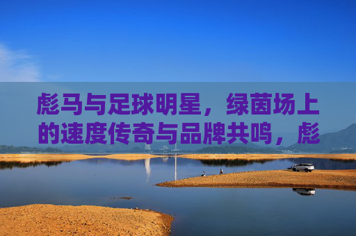 彪马与足球明星，绿茵场上的速度传奇与品牌共鸣，彪马与足球明星，绿茵场上的速度传奇与品牌共鸣