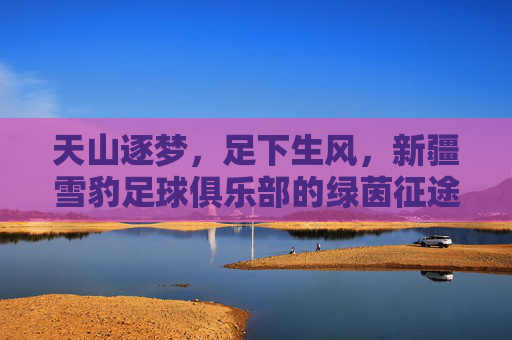 天山逐梦,足下生风,新疆雪豹足球俱乐部的绿茵征途,天山逐梦·新疆雪豹绿茵征途