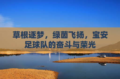 草根逐梦,绿茵飞扬,宝安足球队的奋斗与荣光