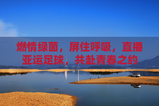 燃情绿茵,屏住呼吸,直播亚运足球,共赴青春之约