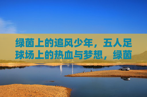 绿茵上的追风少年,五人足球场上的热血与梦想,绿茵追风少年,五人场上的热血与梦想