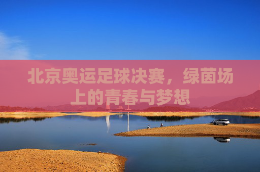 北京奥运足球决赛,绿茵场上的青春与梦想