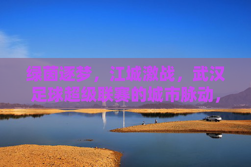 绿茵逐梦,江城激战,武汉足球超级联赛的城市脉动,武汉足球超级联赛,绿茵逐梦,江城激战的城市脉动