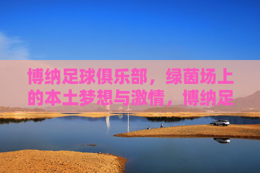 博纳足球俱乐部,绿茵场上的本土梦想与激情,博纳足球俱乐部,绿茵场上的本土梦想与激情