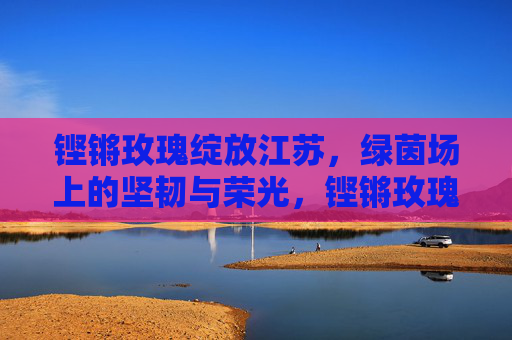铿锵玫瑰绽放江苏，绿茵场上的坚韧与荣光，铿锵玫瑰江苏绽放，绿茵场的坚韧与荣光