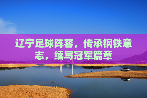 辽宁足球阵容,传承钢铁意志,续写冠军篇章