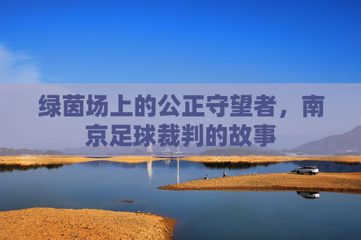 绿茵场上的公正守望者,南京足球裁判的故事
