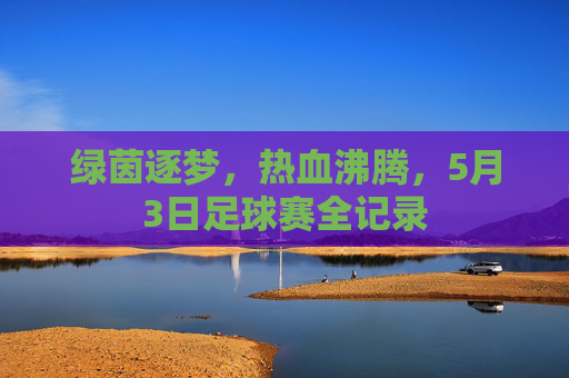 绿茵逐梦,热血沸腾,5月3日足球赛全记录