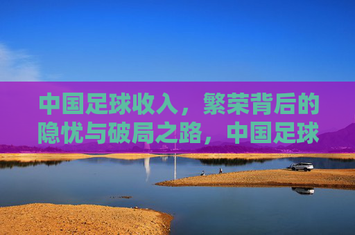 中国足球收入，繁荣背后的隐忧与破局之路，中国足球收入，繁荣背后的隐忧与破局之路
