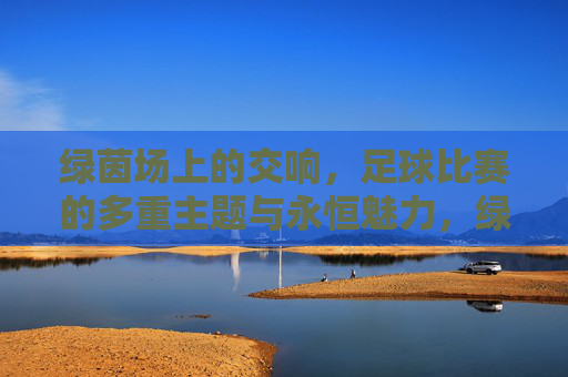 绿茵场上的交响,足球比赛的多重主题与永恒魅力,绿茵交响,足球的多重主题与永恒魅力