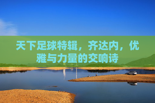 天下足球特辑,齐达内,优雅与力量的交响诗