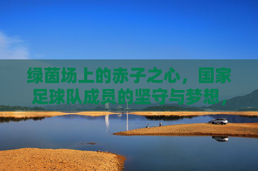 绿茵场上的赤子之心,国家足球队成员的坚守与梦想,绿茵赤子心,国家足球队的坚守与梦想