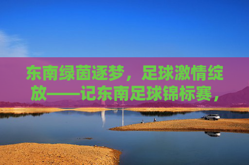 东南绿茵逐梦，足球激情绽放——记东南足球锦标赛，东南绿茵逐梦，足球锦标赛激情绽放