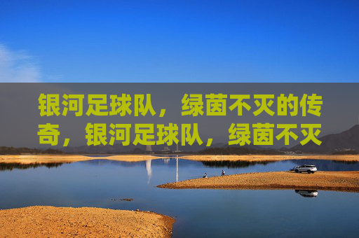 银河足球队,绿茵不灭的传奇,银河足球队,绿茵不灭的传奇