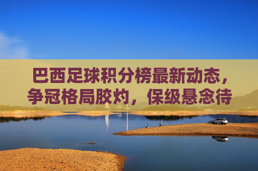 巴西足球积分榜最新动态,争冠格局胶灼,保级悬念待解