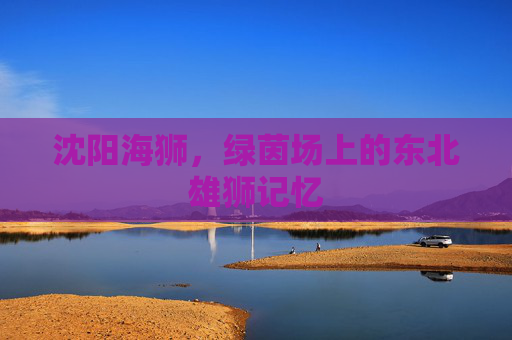 沈阳海狮,绿茵场上的东北雄狮记忆