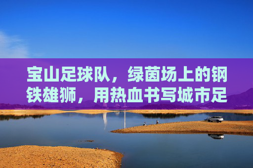 宝山足球队,绿茵场上的钢铁雄狮,用热血书写城市足球记忆,钢铁雄狮宝山足,热血铸就城市足球记忆