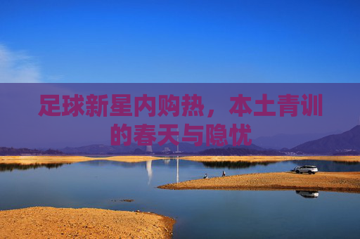足球新星内购热,本土青训的春天与隐忧