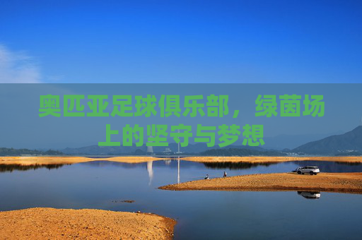 奥匹亚足球俱乐部,绿茵场上的坚守与梦想