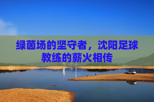 绿茵场的坚守者,沈阳足球教练的薪火相传