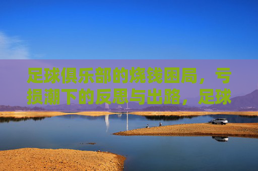 足球俱乐部的烧钱困局,亏损潮下的反思与出路,足球俱乐部的烧钱困局,反思与出路