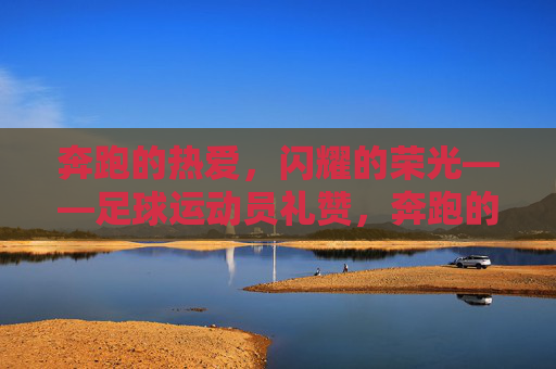 奔跑的热爱，闪耀的荣光——足球运动员礼赞，奔跑的热爱，闪耀的荣光——足球运动员礼赞