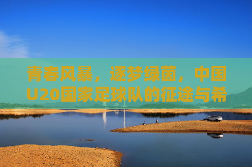 青春风暴，逐梦绿茵，中国U20国家足球队的征途与希望，青春风暴逐梦绿茵，中国U20征途与希望