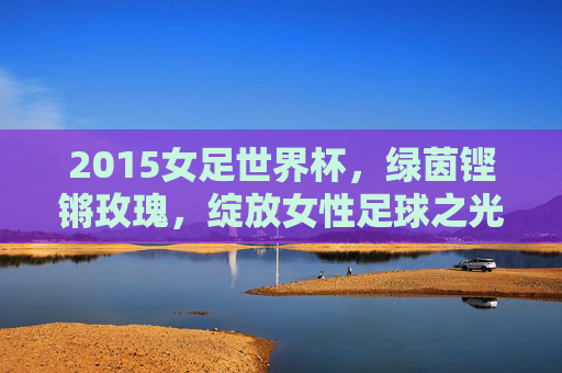 2015女足世界杯,绿茵铿锵玫瑰,绽放女性足球之光,2015女足世界杯,绿茵铿锵玫瑰绽放女性足球之光